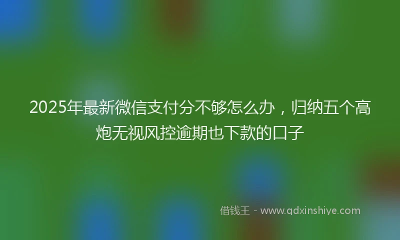 2025年最新微信支付分不够怎么办，归纳五个高炮无视风控逾期也下款的口子