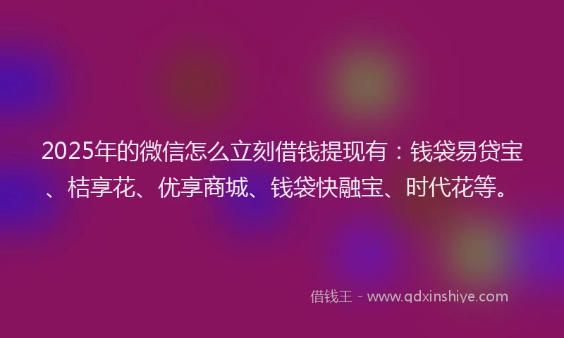 2025年的微信怎么立刻借钱提现有：钱袋易贷宝、桔享花、优享商城、钱袋快融宝、时代花等。