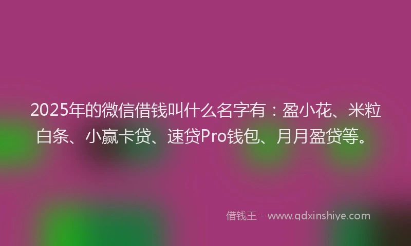 2025年的微信借钱叫什么名字有：盈小花、米粒白条、小赢卡贷、速贷Pro钱包、月月盈贷等。