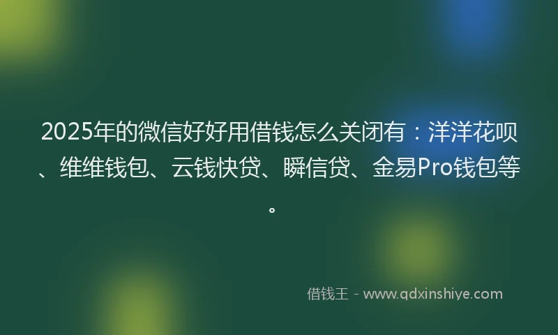 2025年的微信好好用借钱怎么关闭有：洋洋花呗、维维钱包、云钱快贷、瞬信贷、金易Pro钱包等。