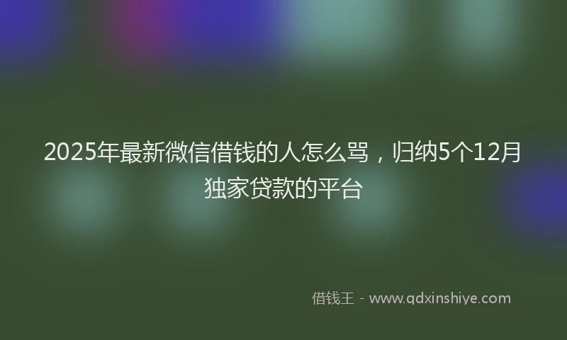 2025年最新微信借钱的人怎么骂，归纳5个12月独家贷款的平台