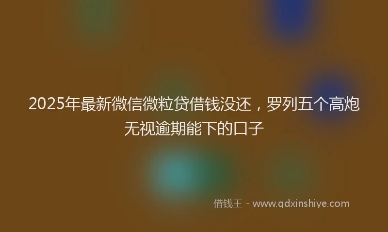 2025年最新微信微粒贷借钱没还，罗列五个高炮无视逾期能下的口子