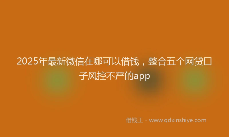 2025年最新微信在哪可以借钱，整合五个网贷口子风控不严的app