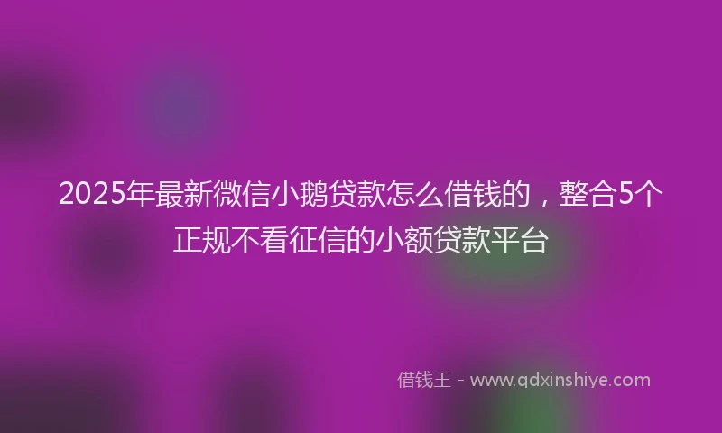 2025年最新微信小鹅贷款怎么借钱的，整合5个正规不看征信的小额贷款平台