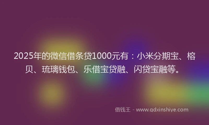 2025年的微信借条贷1000元有：小米分期宝、榕贝、琉璃钱包、乐借宝贷融、闪贷宝融等。