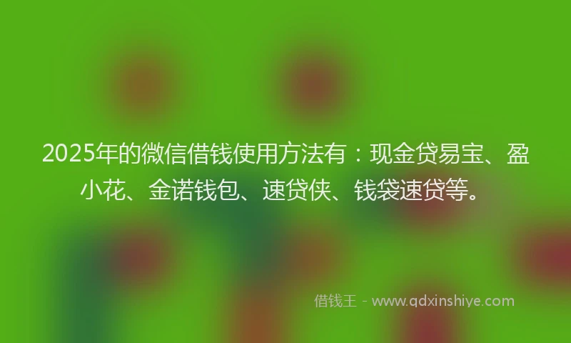 2025年的微信借钱使用方法有:现金贷易宝、盈小花、金诺钱包、速贷侠、钱袋速贷等。