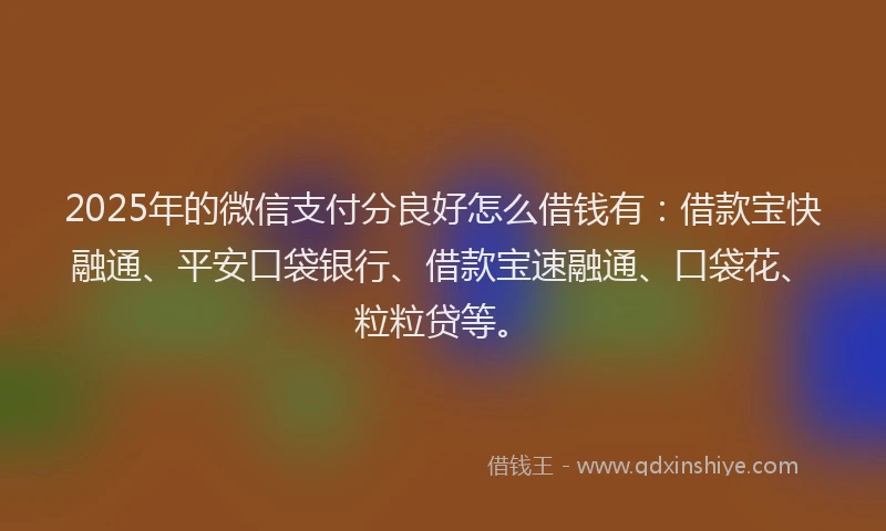 2025年的微信支付分良好怎么借钱有：借款宝快融通、平安口袋银行、借款宝速融通、口袋花、粒粒贷等。