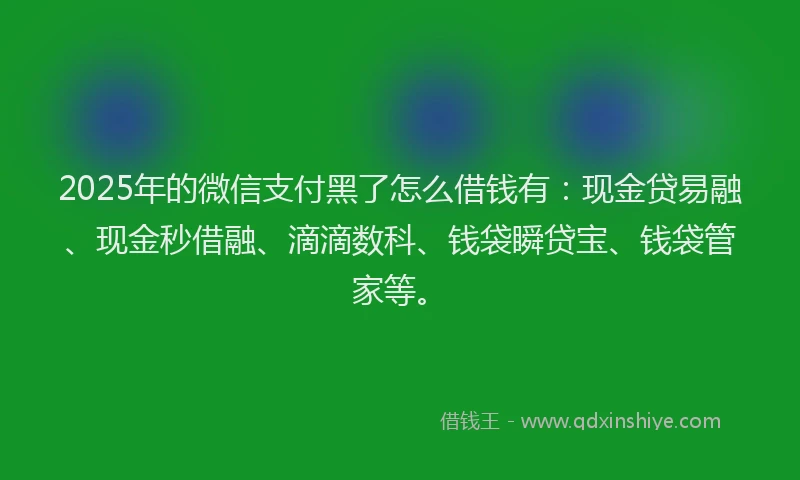 2025年的微信支付黑了怎么借钱有：现金贷易融、现金秒借融、滴滴数科、钱袋瞬贷宝、钱袋管家等。