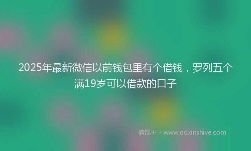 2025年最新微信以前钱包里有个借钱，罗列五个满19岁可以借款的口子