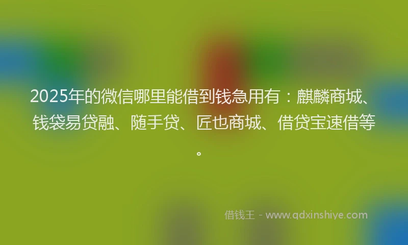 2025年的微信哪里能借到钱急用有：麒麟商城、钱袋易贷融、随手贷、匠也商城、借贷宝速借等。