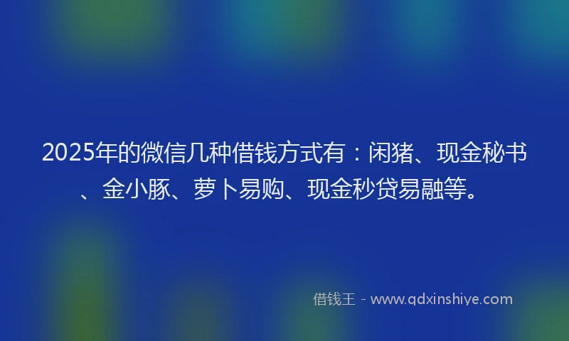 2025年的微信几种借钱方式有：闲猪、现金秘书、金小豚、萝卜易购、现金秒贷易融等。