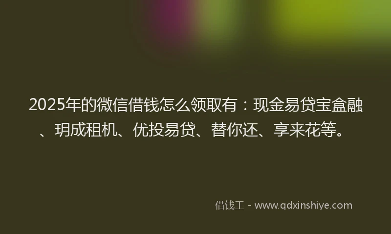 2025年的微信借钱怎么领取有：现金易贷宝盒融、玥成租机、优投易贷、替你还、享来花等。