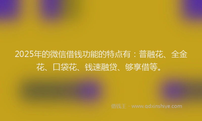 2025年的微信借钱功能的特点有：普融花、全金花、口袋花、钱速融贷、够享借等。