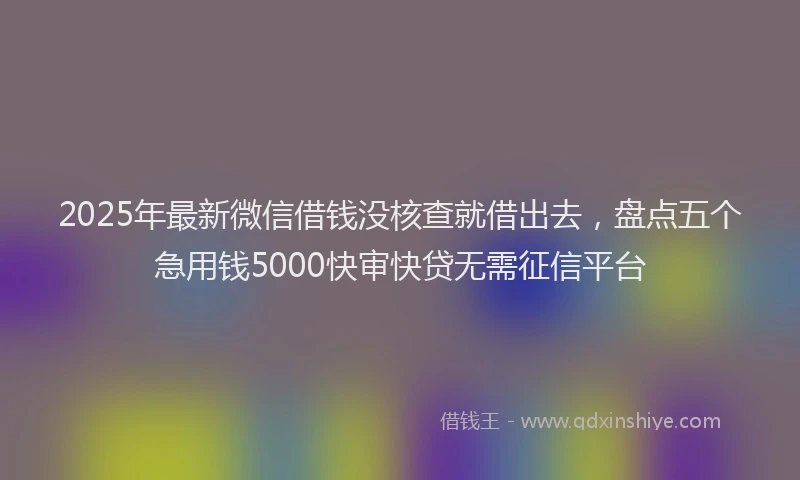 2025年最新微信借钱没核查就借出去，盘点五个急用钱5000快审快贷无需征信平台