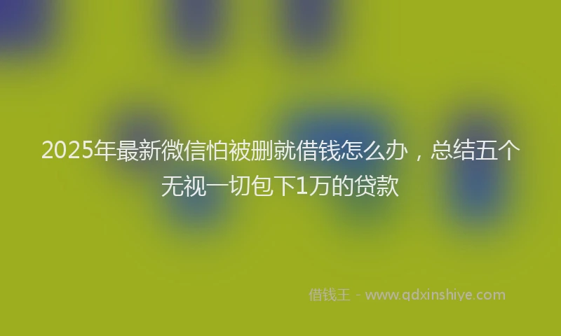 2025年最新微信怕被删就借钱怎么办，总结五个无视一切包下1万的贷款