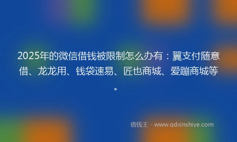 2025年的微信借钱被限制怎么办有：翼支付随意借、龙龙用、钱袋速易、匠也商城、爱蹦商城等。