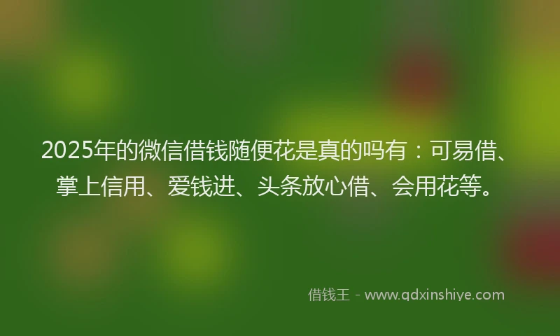 2025年的微信借钱随便花是真的吗有：可易借、掌上信用、爱钱进、头条放心借、会用花等。