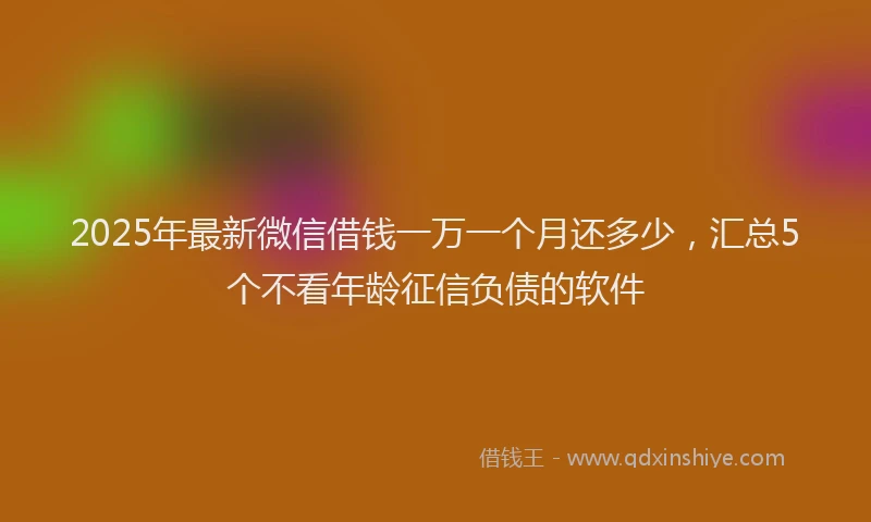 2025年最新微信借钱一万一个月还多少，汇总5个不看年龄征信负债的软件
