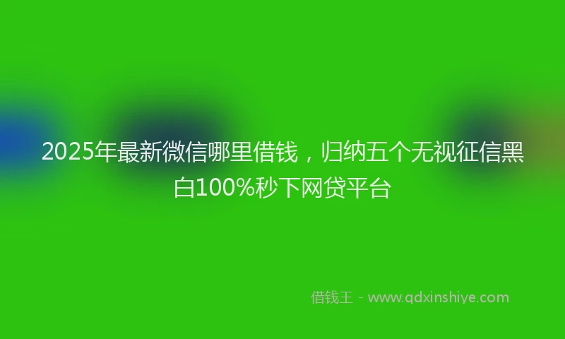 2025年最新微信哪里借钱，归纳五个无视征信黑白100%秒下网贷平台