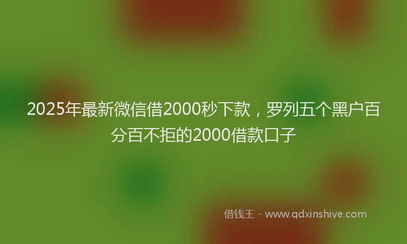 2025年最新微信借2000秒下款，罗列五个黑户百分百不拒的2000借款口子