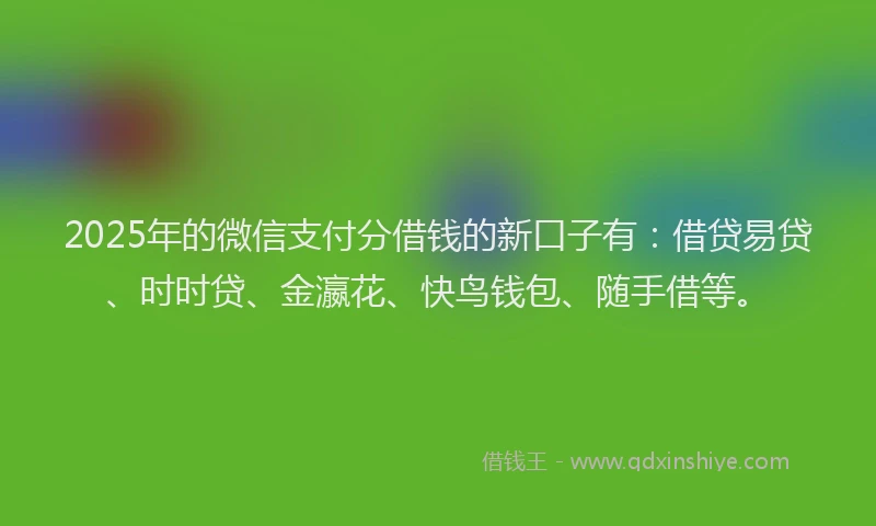 2025年的微信支付分借钱的新口子有：借贷易贷、时时贷、金瀛花、快鸟钱包、随手借等。