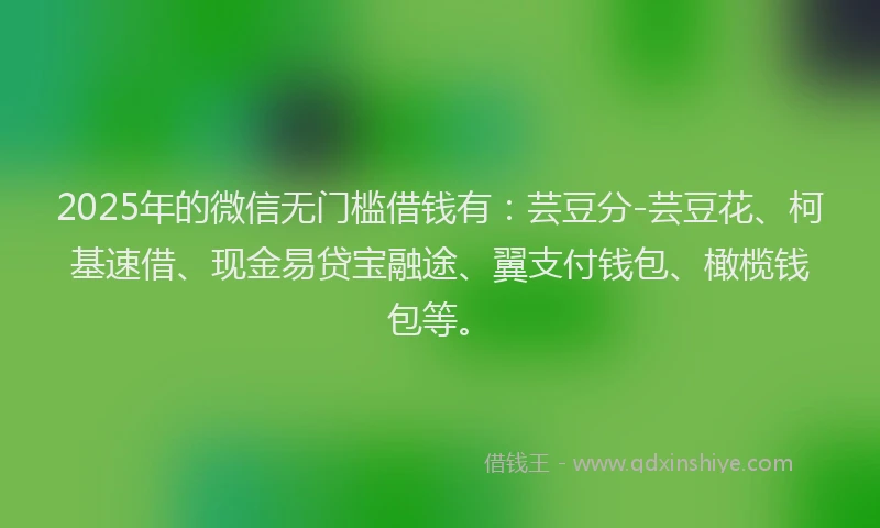 2025年的微信无门槛借钱有：芸豆分-芸豆花、柯基速借、现金易贷宝融途、翼支付钱包、橄榄钱包等。