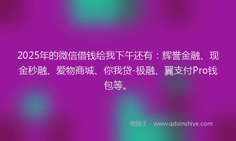 2025年的微信借钱给我下午还有：辉誉金融、现金秒融、爱物商城、你我贷-极融、翼支付Pro钱包等。