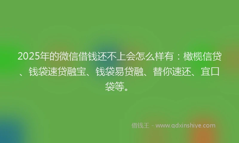 2025年的微信借钱还不上会怎么样有：橄榄信贷、钱袋速贷融宝、钱袋易贷融、替你速还、宜口袋等。