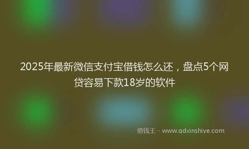 2025年最新微信支付宝借钱怎么还，盘点5个网贷容易下款18岁的软件
