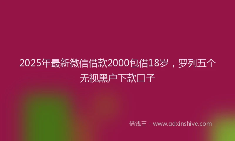 2025年最新微信借款2000包借18岁，罗列五个无视黑户下款口子