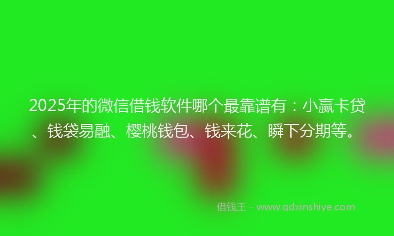 2025年的微信借钱软件哪个最靠谱有：小赢卡贷、钱袋易融、樱桃钱包、钱来花、瞬下分期等。