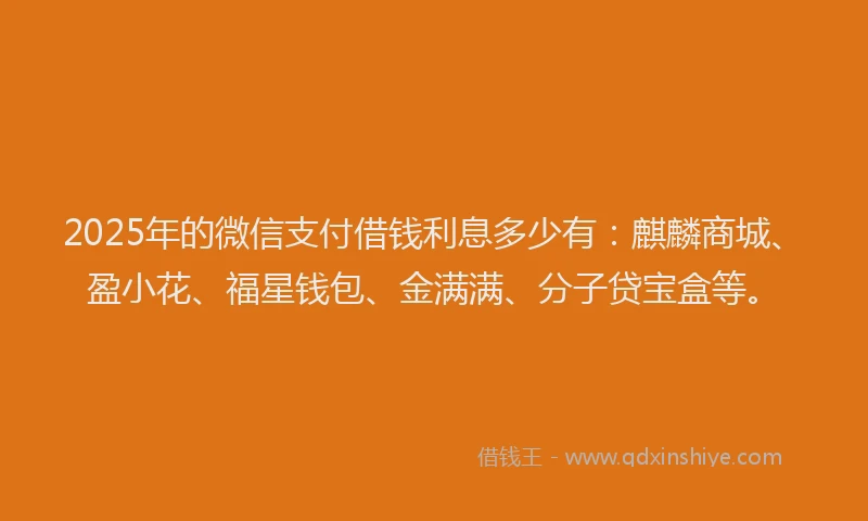 2025年的微信支付借钱利息多少有：麒麟商城、盈小花、福星钱包、金满满、分子贷宝盒等。