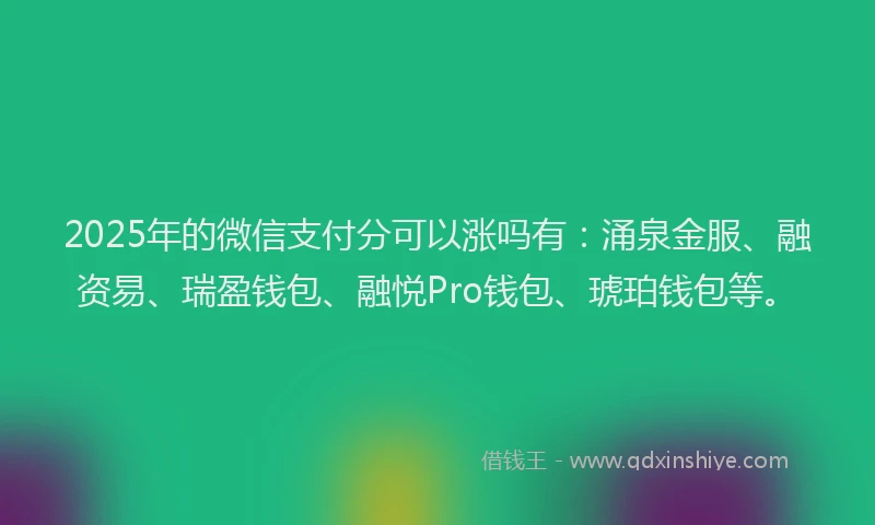 2025年的微信支付分可以涨吗有：涌泉金服、融资易、瑞盈钱包、融悦Pro钱包、琥珀钱包等。