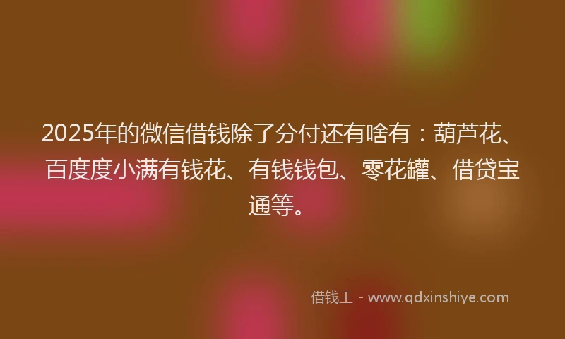 2025年的微信借钱除了分付还有啥有：葫芦花、百度度小满有钱花、有钱钱包、零花罐、借贷宝通等。