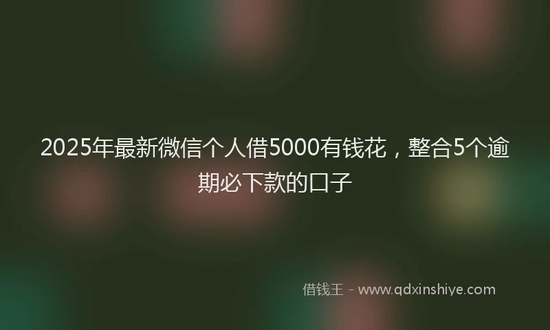 2025年最新微信个人借5000有钱花，整合5个逾期必下款的口子