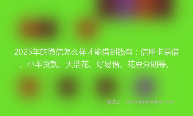 2025年的微信怎么样才能借到钱有：信用卡易借、小羊贷款、天浩花、好易借、花豆分期等。