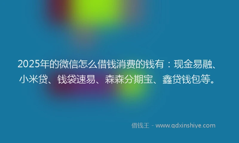 2025年的微信怎么借钱消费的钱有：现金易融、小米贷、钱袋速易、森森分期宝、鑫贷钱包等。