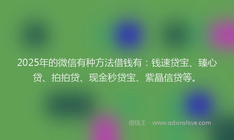 2025年的微信有种方法借钱有：钱速贷宝、臻心贷、拍拍贷、现金秒贷宝、紫晶信贷等。