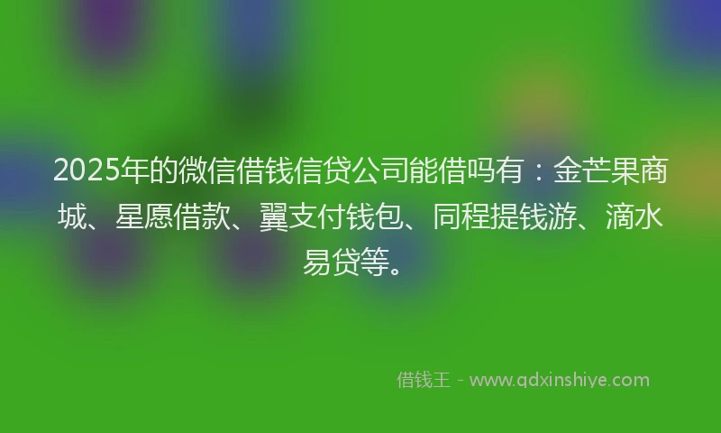 2025年的微信借钱信贷公司能借吗有：金芒果商城、星愿借款、翼支付钱包、同程提钱游、滴水易贷等。