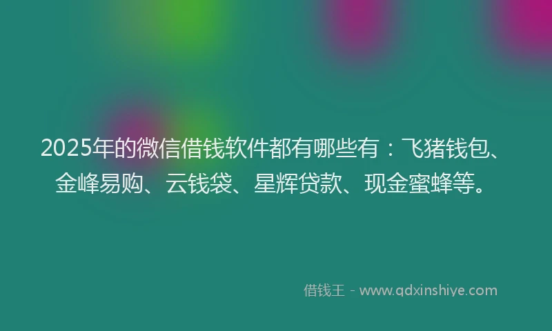 2025年的微信借钱软件都有哪些有：飞猪钱包、金峰易购、云钱袋、星辉贷款、现金蜜蜂等。