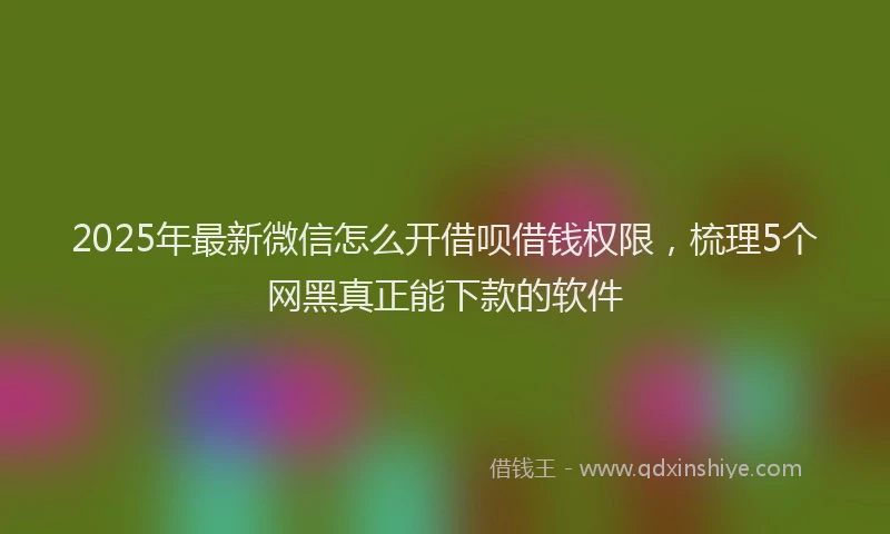 2025年最新微信怎么开借呗借钱权限，梳理5个网黑真正能下款的软件