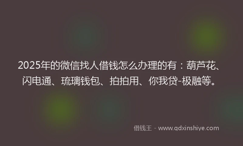 2025年的微信找人借钱怎么办理的有：葫芦花、闪电通、琉璃钱包、拍拍用、你我贷-极融等。