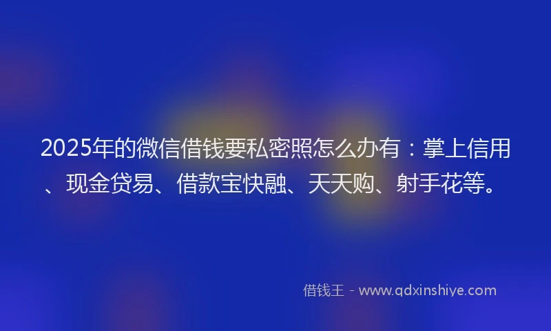 2025年的微信借钱要私密照怎么办有：掌上信用、现金贷易、借款宝快融、天天购、射手花等。