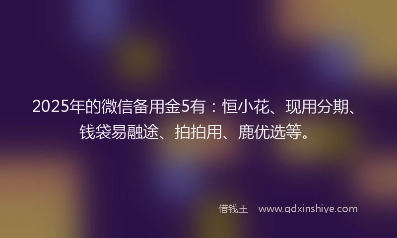 2025年的微信备用金5有：恒小花、现用分期、钱袋易融途、拍拍用、鹿优选等。