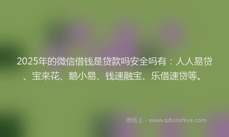 2025年的微信借钱是贷款吗安全吗有：人人易贷、宝来花、鹅小易、钱速融宝、乐借速贷等。