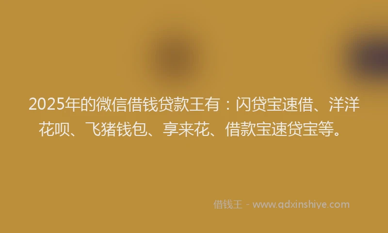 2025年的微信借钱贷款王有：闪贷宝速借、洋洋花呗、飞猪钱包、享来花、借款宝速贷宝等。