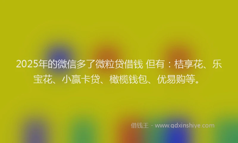 2025年的微信多了微粒贷借钱 但有：桔享花、乐宝花、小赢卡贷、橄榄钱包、优易购等。