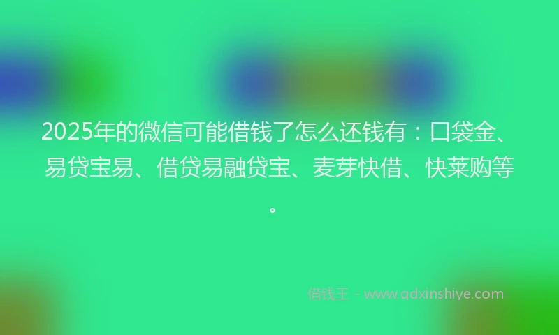 2025年的微信可能借钱了怎么还钱有：口袋金、易贷宝易、借贷易融贷宝、麦芽快借、快莱购等。