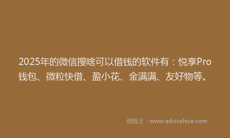 2025年的微信搜啥可以借钱的软件有：悦享Pro钱包、微粒快借、盈小花、金满满、友好物等。