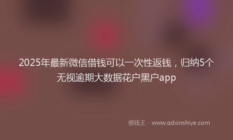2025年最新微信借钱可以一次性返钱，归纳5个无视逾期大数据花户黑户app